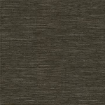 Gainsford Gunmetal by Kasmir Fabric 5060 75% Polyester 25% Viscose INDIA Not Tested H: N/A, V: N/A 54 - Fabric Carolina - Kasmir