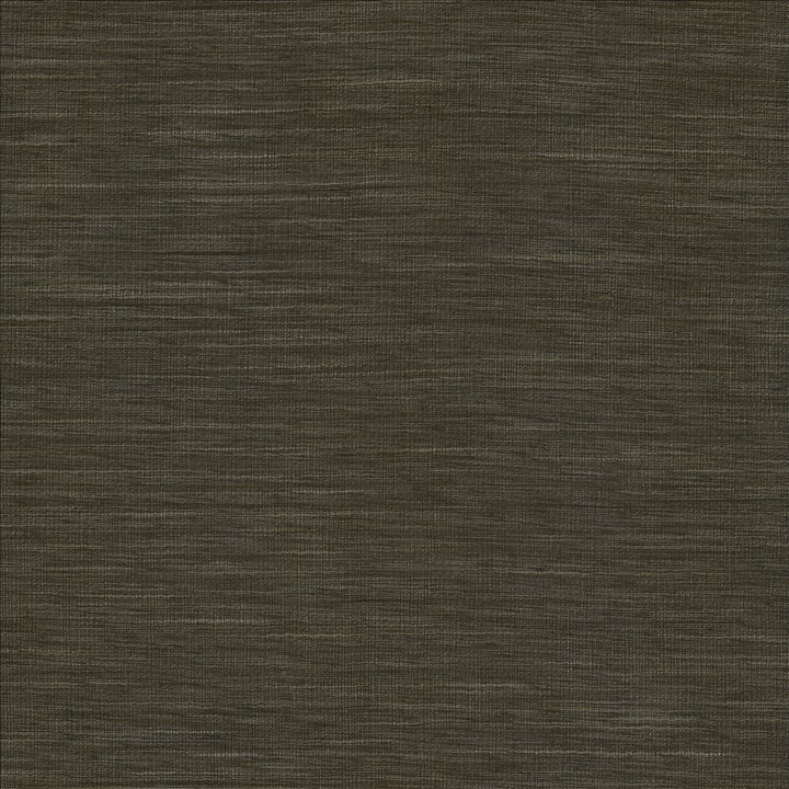 Gainsford Gunmetal by Kasmir Fabric 5060 75% Polyester
25% Viscose
 INDIA </p><p>Repeat: Horizontal: N/A and Vertical: N/A 54 - Fabric Carolina -