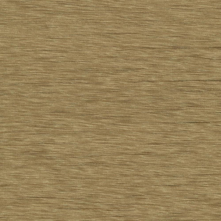 Gainsford Hemp by Kasmir Fabric 1313 75% Polyester
25% Viscose
 INDIA </p><p>Repeat: Horizontal: N/A and Vertical: N/A 54 - Fabric Carolina -
