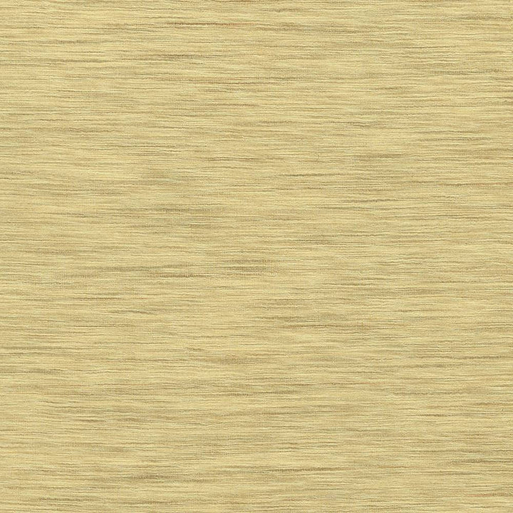 Gainsford Honey by Kasmir Fabric 5060 75% Polyester 25% Viscose INDIA Not Tested H: N/A, V:N/A 54 - Fabric Carolina - Kasmir