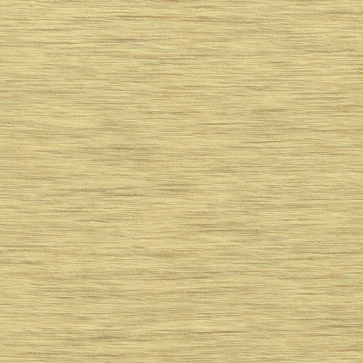 Gainsford Honey by Kasmir Fabric 5060 75% Polyester
25% Viscose
 INDIA </p><p>Repeat: Horizontal: N/A and Vertical: N/A 54 - Fabric Carolina -