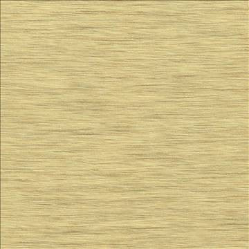 Gainsford Honey by Kasmir Fabric 5060 75% Polyester 25% Viscose INDIA Not Tested H: N/A, V: N/A 54 - Fabric Carolina - Kasmir