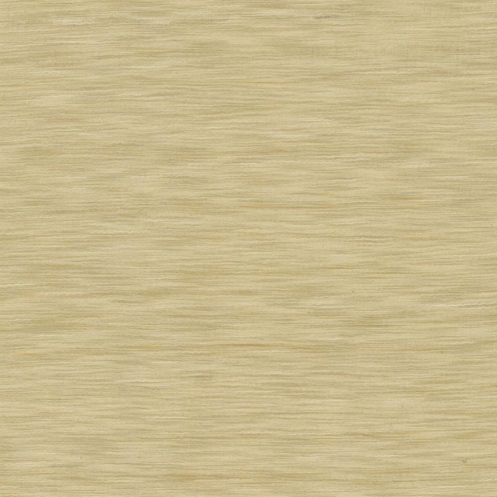 Gainsford Latte by Kasmir Fabric 5140 75% Polyester
25% Viscose
 INDIA </p><p>Repeat: Horizontal: N/A and Vertical: N/A 54 - Fabric Carolina -