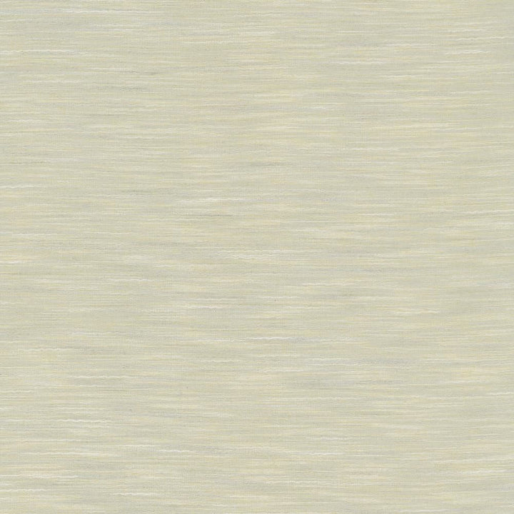 Gainsford Light Grey by Kasmir Fabric 5140 75% Polyester
25% Viscose
 INDIA </p><p>Repeat: Horizontal: N/A and Vertical: N/A 54 - Fabric Carolina -