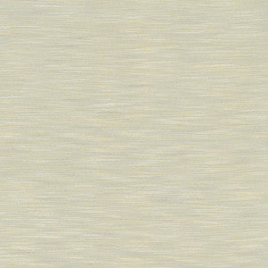 Gainsford Light Grey by Kasmir Fabric