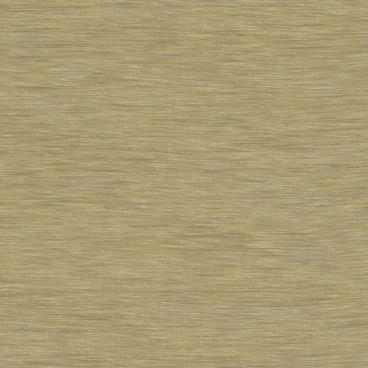 Gainsford Linen by Kasmir Fabric 5060 75% Polyester
25% Viscose
 INDIA </p><p>Repeat: Horizontal: N/A and Vertical: N/A 54 - Fabric Carolina -