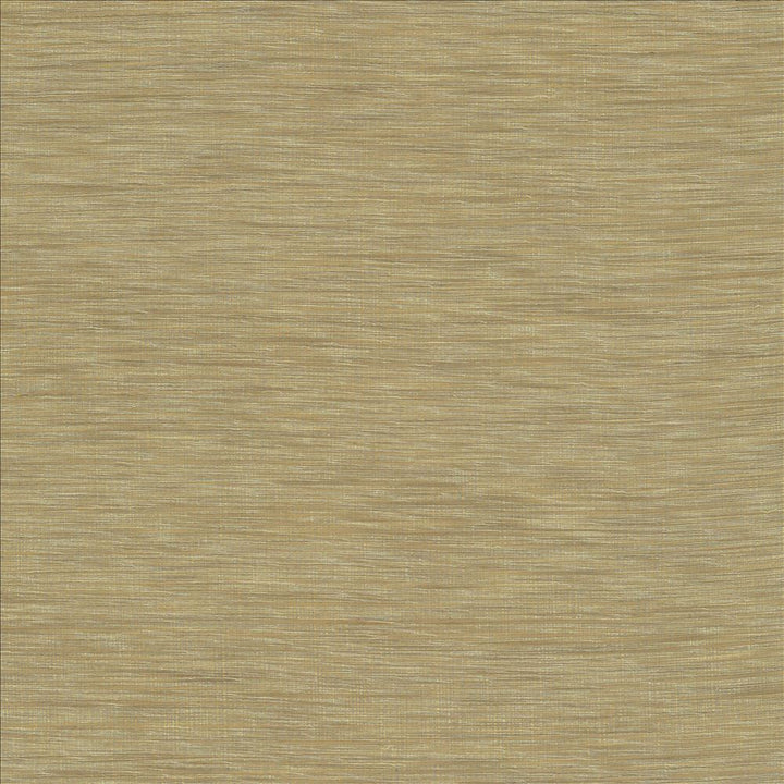 Gainsford Linen by Kasmir Fabric 5060 75% Polyester 25% Viscose INDIA Not Tested Horizontal: 0 Inches and Vertical: 0 Inches 54 - Fabric Carolina -