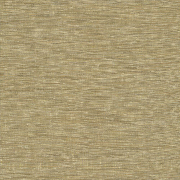 Gainsford Linen by Kasmir Fabric 5140 75% Polyester
25% Viscose
 INDIA </p><p>Repeat: Horizontal: N/A and Vertical: N/A 54 - Fabric Carolina -