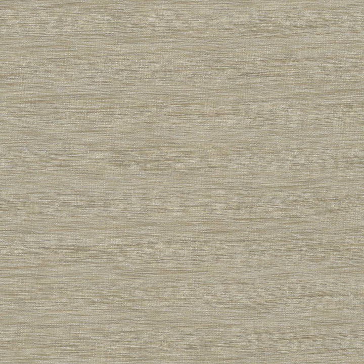 Gainsford Linen by Kasmir Fabric 5060 75% Polyester 25% Viscose INDIA Not Tested H: N/A, V:N/A 54 - Fabric Carolina - Kasmir