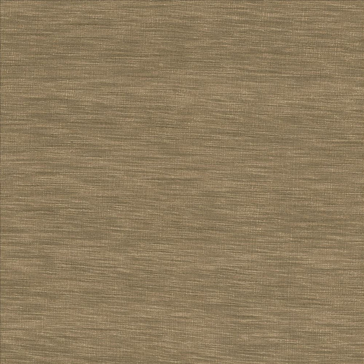 Gainsford Mushroom by Kasmir Fabric 5060 75% Polyester
25% Viscose
 INDIA Not Tested </p><p>Repeat: Horizontal: N/A and Vertical: N/A 54 - Fabric Carolina -