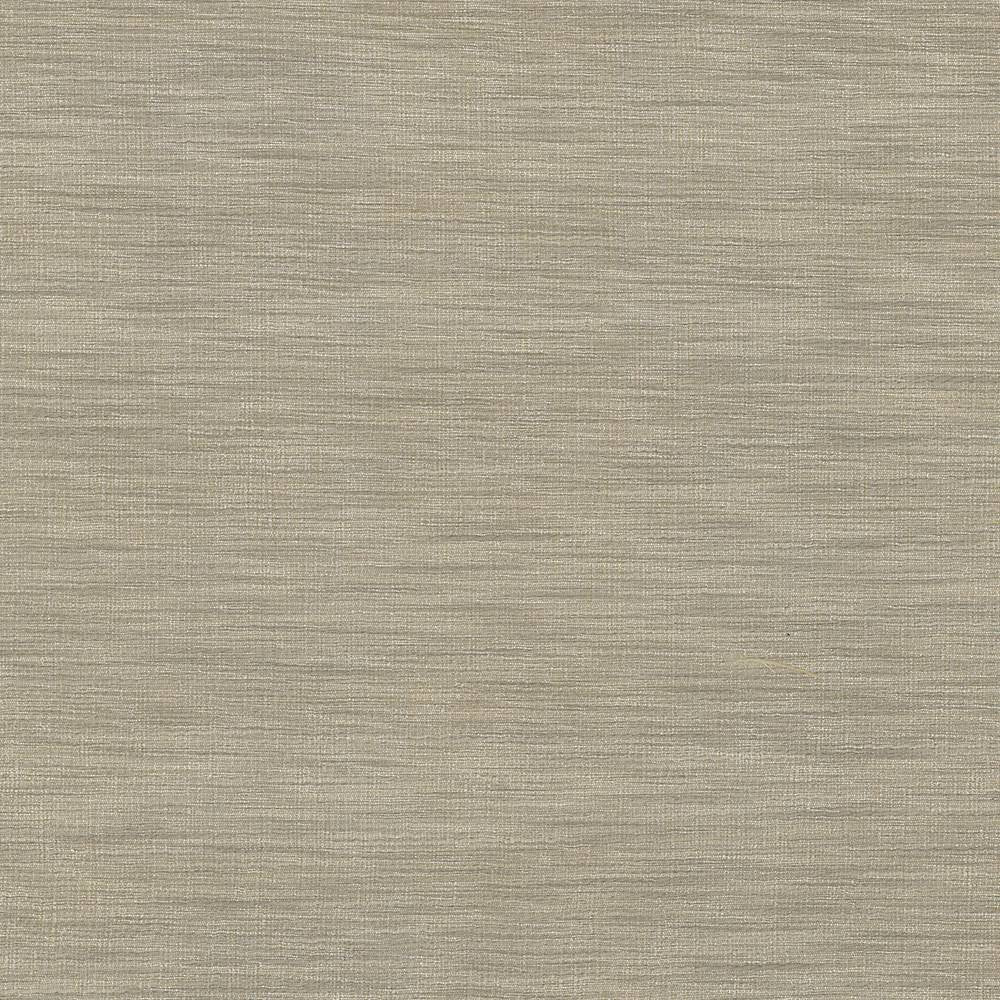 Gainsford Mushroom by Kasmir Fabric 5060 75% Polyester 25% Viscose INDIA Not Tested H: N/A, V:N/A 54 - Fabric Carolina - Kasmir