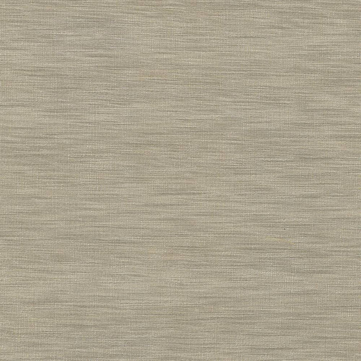 Gainsford Mushroom by Kasmir Fabric 5060 75% Polyester 25% Viscose INDIA Not Tested H: N/A, V:N/A 54 - Fabric Carolina - Kasmir