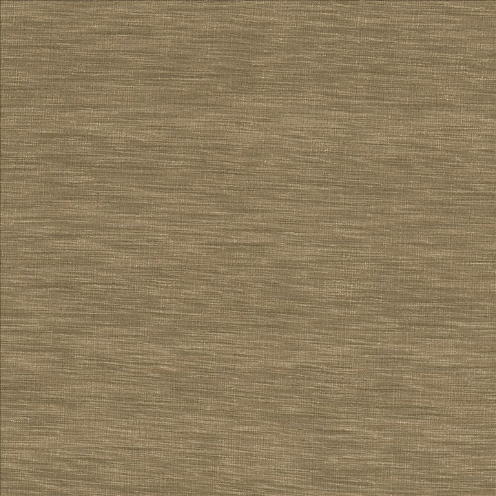 Gainsford Mushroom by Kasmir Fabric 5140 75% Polyester
25% Viscose
 INDIA </p><p>Repeat: Horizontal: N/A and Vertical: N/A 54 - Fabric Carolina -