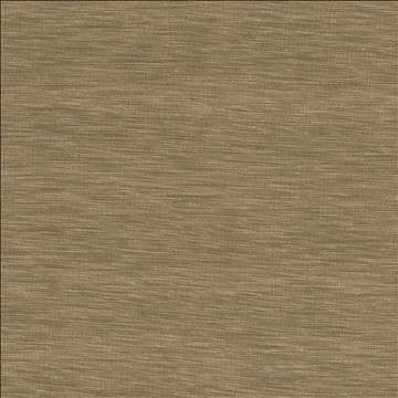 Gainsford Mushroom by Kasmir Fabric 5060 75% Polyester 25% Viscose INDIA Not Tested H: N/A, V: N/A 54 - Fabric Carolina - Kasmir