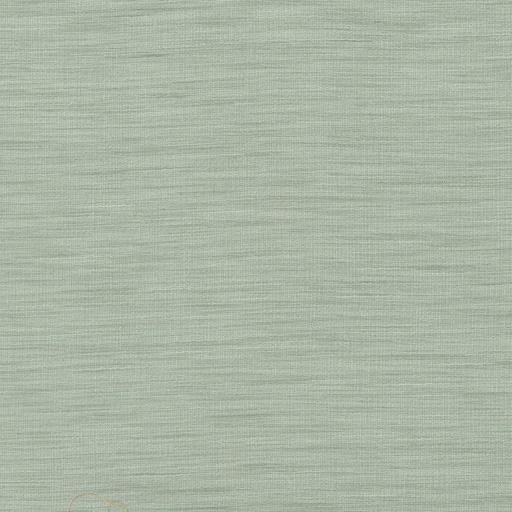 Gainsford Opal by Kasmir Fabric 5060 75% Polyester 25% Viscose INDIA Not Tested H: N/A, V:N/A 54 - Fabric Carolina - Kasmir