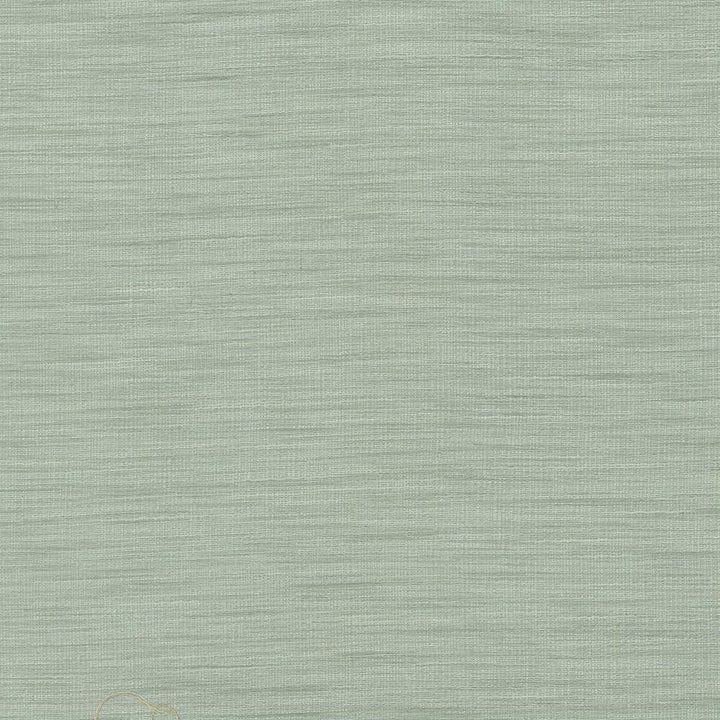 Gainsford Opal by Kasmir Fabric 5060 75% Polyester 25% Viscose INDIA Not Tested H: N/A, V:N/A 54 - Fabric Carolina - Kasmir