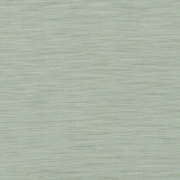 Gainsford Opal by Kasmir Fabric 1313 75% Polyester
25% Viscose
 INDIA </p><p>Repeat: Horizontal: N/A and Vertical: N/A 54 - Fabric Carolina -