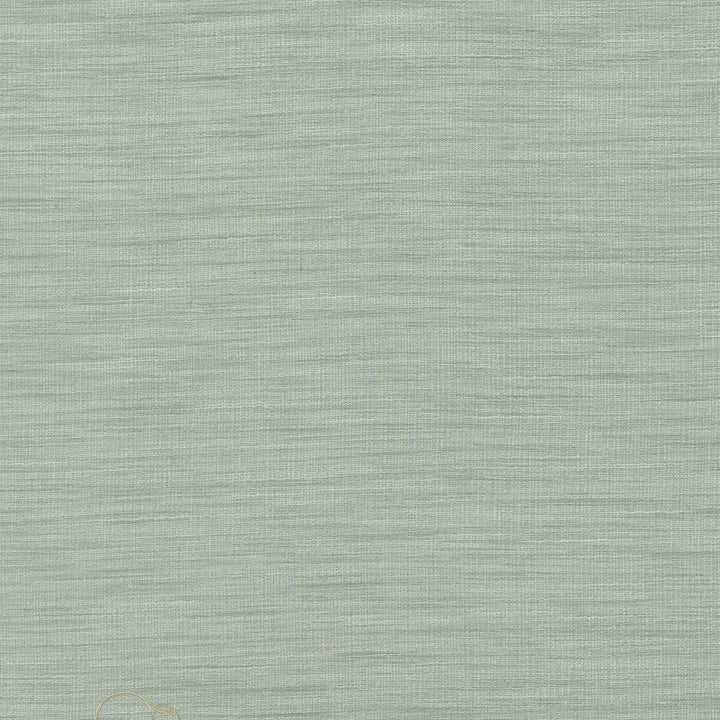 Gainsford Opal by Kasmir Fabric 5060 75% Polyester
25% Viscose
 INDIA Not Tested </p><p>Repeat: Horizontal: N/A and Vertical: N/A 54 - Fabric Carolina -