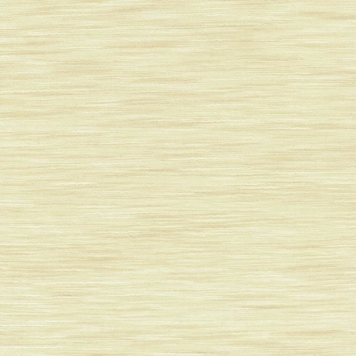 Gainsford Oyster by Kasmir Fabric 5140 75% Polyester
25% Viscose
 INDIA </p><p>Repeat: Horizontal: N/A and Vertical: N/A 54 - Fabric Carolina -