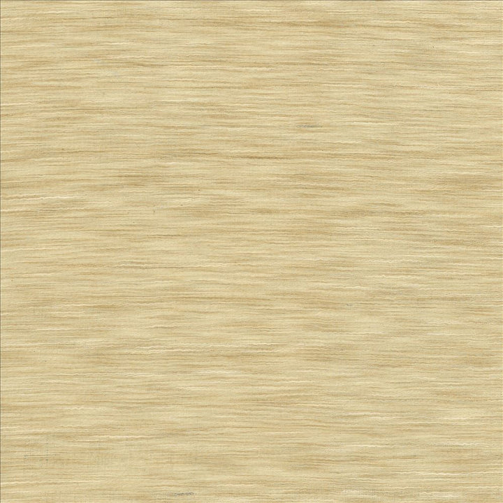 Gainsford Parchment by Kasmir Fabric 1313 75% Polyester
25% Viscose
 INDIA </p><p>Repeat: Horizontal: N/A and Vertical: N/A 54 - Fabric Carolina -