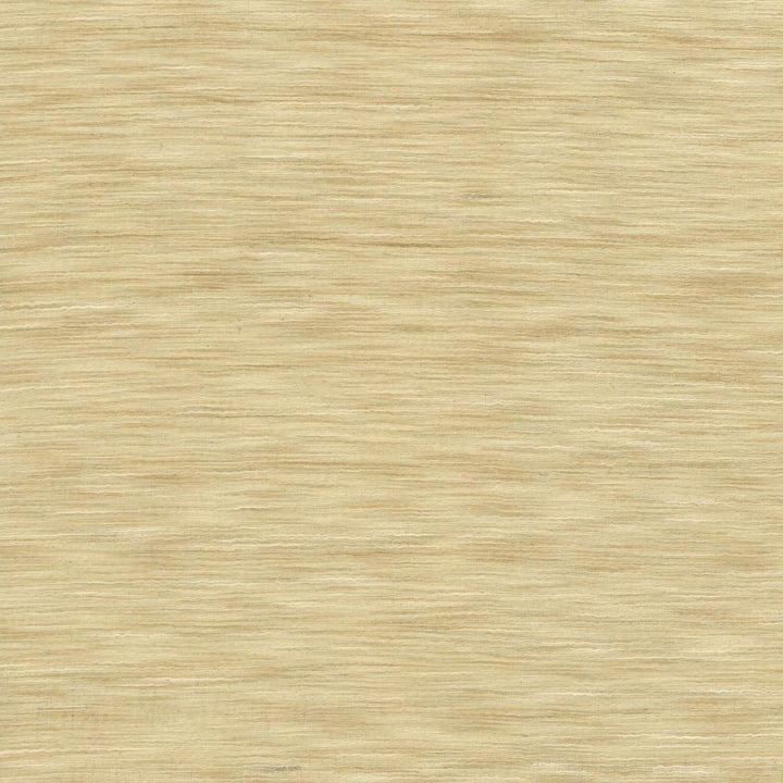 Gainsford Parchment by Kasmir Fabric 1313 75% Polyester
25% Viscose
 INDIA </p><p>Repeat: Horizontal: N/A and Vertical: N/A 54 - Fabric Carolina -