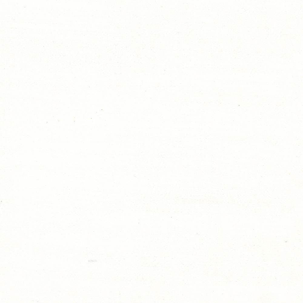 Gainsford Pearl by Kasmir Fabric 5060 75% Polyester
25% Viscose
 INDIA </p><p>Repeat: Horizontal: N/A and Vertical: N/A 54 - Fabric Carolina -