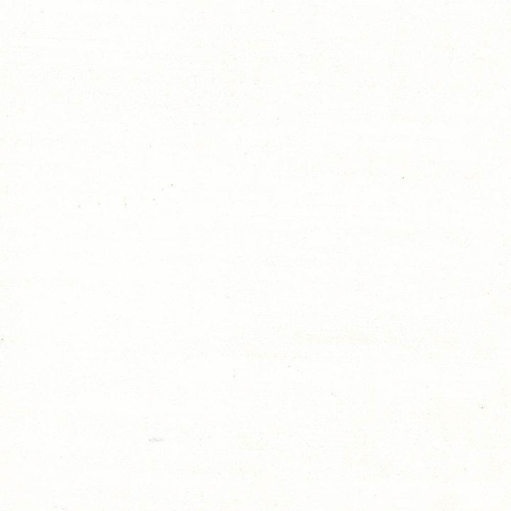 Gainsford Pearl by Kasmir Fabric 5060 75% Polyester
25% Viscose
 INDIA </p><p>Repeat: Horizontal: N/A and Vertical: N/A 54 - Fabric Carolina -