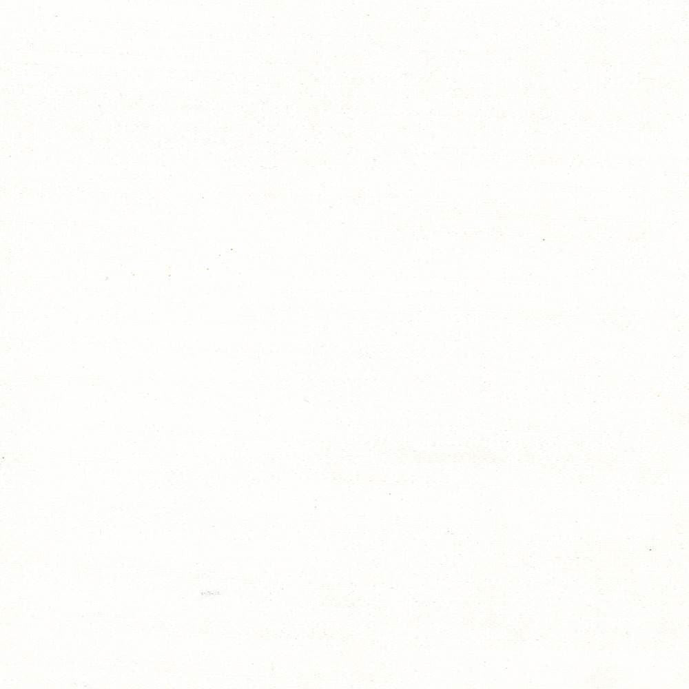 Gainsford Pearl by Kasmir Fabric 5060 75% Polyester
25% Viscose
 INDIA </p><p>Repeat: Horizontal: N/A and Vertical: N/A 54 - Fabric Carolina -