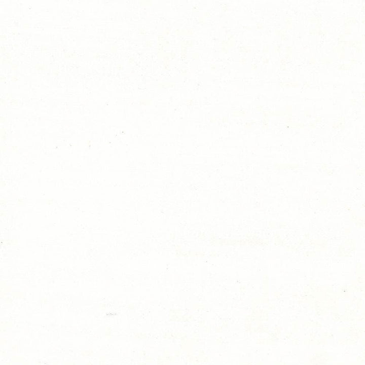 Gainsford Pearl  by Kasmir Fabric See sample 75% Polyester
25% Viscose
 INDIA Not Tested </p><p>Repeat: Horizontal: N/A and Vertical: N/A 54  - Fabric Carolina -