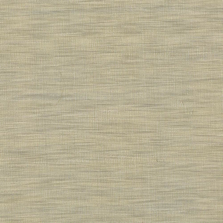 Gainsford Pebble by Kasmir Fabric 5060 75% Polyester
25% Viscose
 INDIA Not Tested Horizontal: N/A and Vertical: N/A 54 - Fabric Carolina -