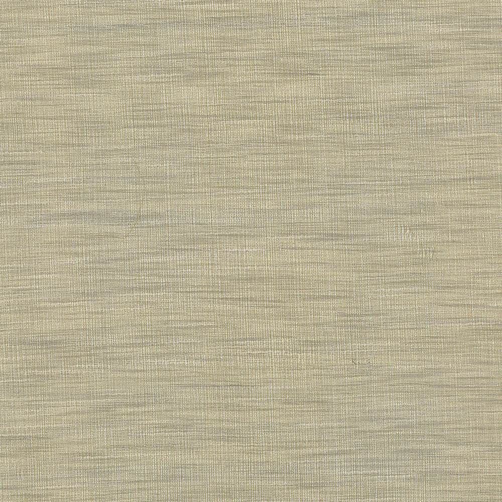 Gainsford Pebble by Kasmir Fabric 5060 75% Polyester
25% Viscose
 INDIA </p><p>Repeat: Horizontal: N/A and Vertical: N/A 54 - Fabric Carolina -