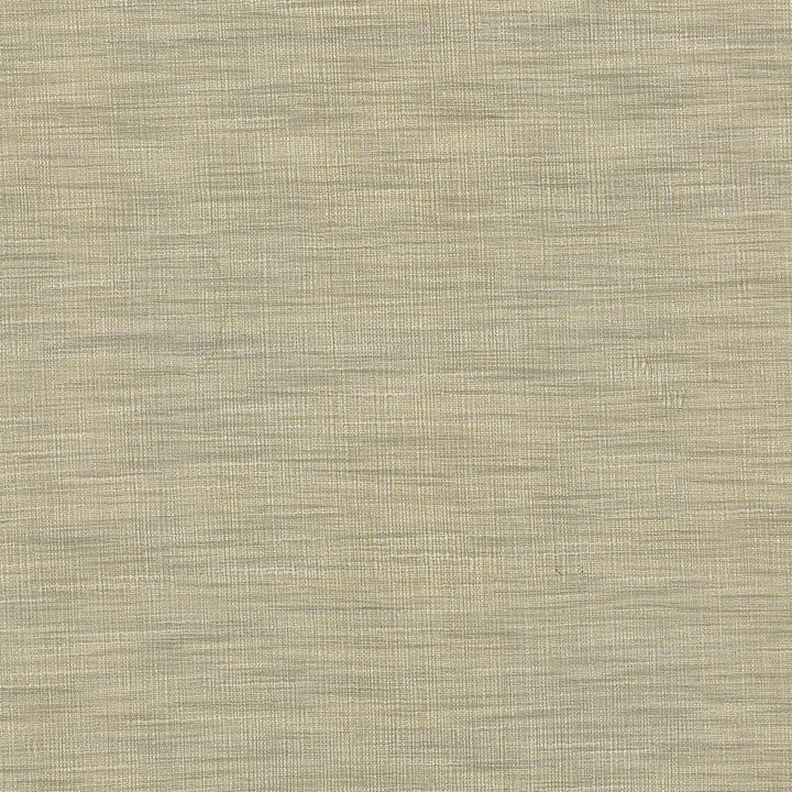 Gainsford Pebble by Kasmir Fabric 5060 75% Polyester
25% Viscose
 INDIA </p><p>Repeat: Horizontal: N/A and Vertical: N/A 54 - Fabric Carolina -