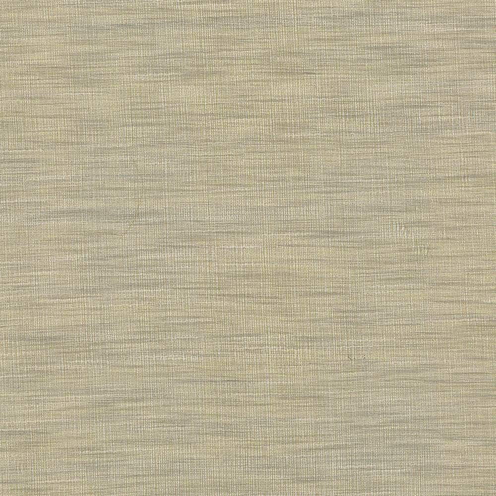 Gainsford Pebble by Kasmir Fabric 5060 75% Polyester 25% Viscose INDIA Not Tested H: N/A, V:N/A 54 - Fabric Carolina - Kasmir