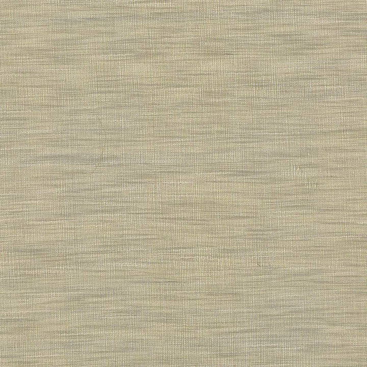 Gainsford Pebble by Kasmir Fabric 5060 75% Polyester 25% Viscose INDIA Not Tested H: N/A, V:N/A 54 - Fabric Carolina - Kasmir