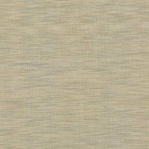 Gainsford Pebble by Kasmir Fabric