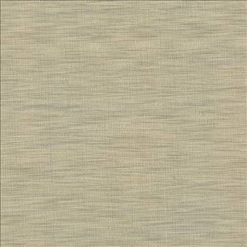 Gainsford Pebble by Kasmir Fabric 5060 75% Polyester 25% Viscose INDIA Not Tested H: N/A, V: N/A 54 - Fabric Carolina - Kasmir