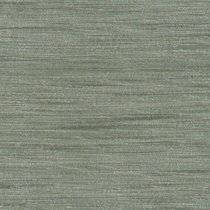 Gainsford Plantinum by Kasmir Fabric 1313 75% Polyester 25% Viscose INDIA Not Tested H: N/A, V:N/A 54 - Fabric Carolina - Kasmir