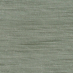 Gainsford Plantinum by Kasmir Fabric