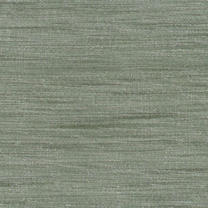 Gainsford Plantinum by Kasmir Fabric 1313 75% Polyester
25% Viscose
 INDIA </p><p>Repeat: Horizontal: N/A and Vertical: N/A 54 - Fabric Carolina -