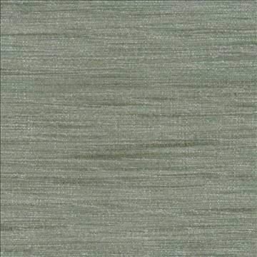 Gainsford Plantinum by Kasmir Fabric 1313 75% Polyester 25% Viscose INDIA Not Tested H: N/A, V: N/A 54 - Fabric Carolina - Kasmir