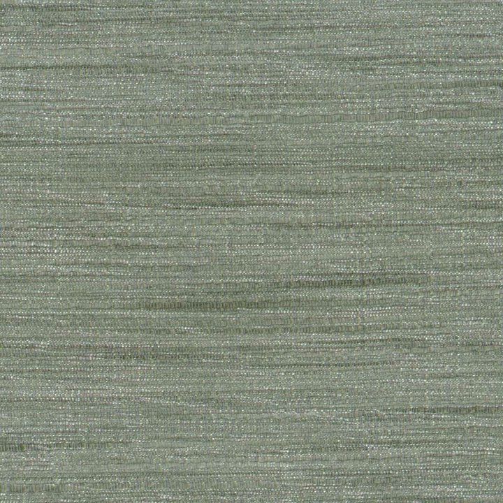 Gainsford Plantinum by Kasmir Fabric 1313 75% Polyester
25% Viscose
 INDIA </p><p>Repeat: Horizontal: N/A and Vertical: N/A 54 - Fabric Carolina -