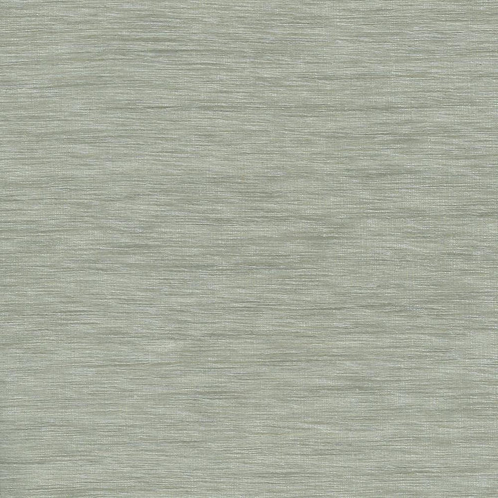 Gainsford Platinum by Kasmir Fabric 5060 75% Polyester 25% Viscose INDIA Not Tested H: N/A, V:N/A 54 - Fabric Carolina - Kasmir