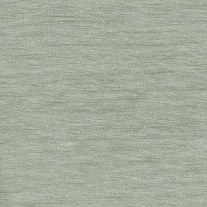 Gainsford Platinum by Kasmir Fabric