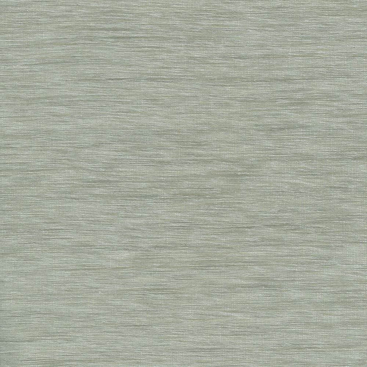 Gainsford Platinum by Kasmir Fabric 5060 75% Polyester
25% Viscose
 INDIA </p><p>Repeat: Horizontal: N/A and Vertical: N/A 54 - Fabric Carolina -
