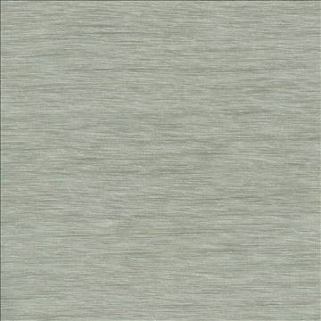 Gainsford Platinum by Kasmir Fabric 5060 75% Polyester 25% Viscose INDIA Not Tested H: N/A, V: N/A 54 - Fabric Carolina - Kasmir