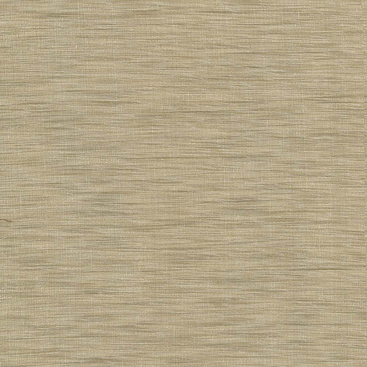 Gainsford Praline by Kasmir Fabric 1313 75% Polyester
25% Viscose
 INDIA </p><p>Repeat: Horizontal: N/A and Vertical: N/A 54 - Fabric Carolina -