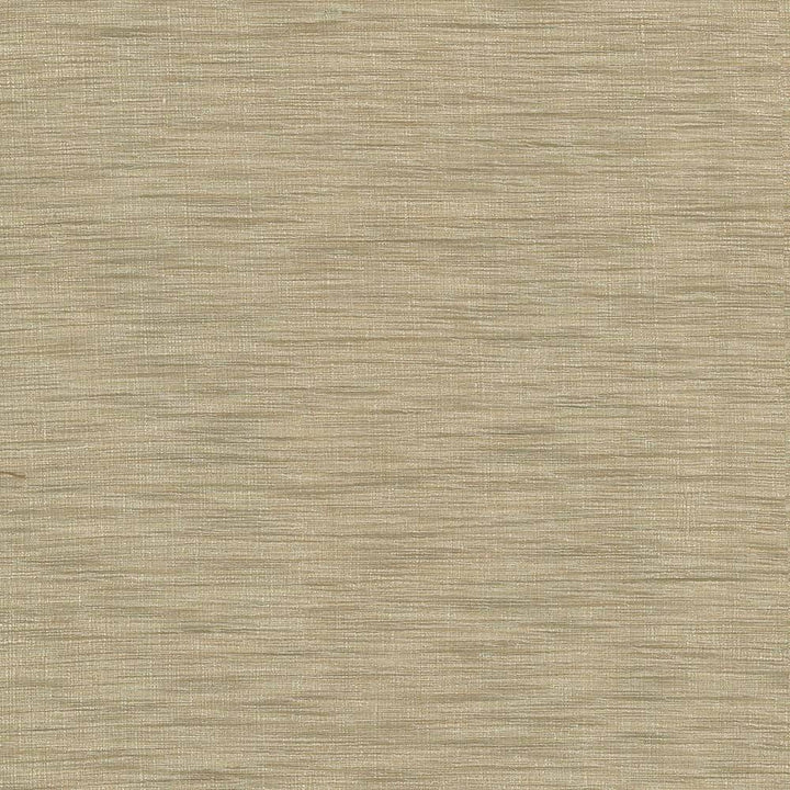 Gainsford Praline by Kasmir Fabric 5060 75% Polyester 25% Viscose INDIA Not Tested H: N/A, V:N/A 54 - Fabric Carolina - Kasmir