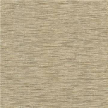 Gainsford Praline by Kasmir Fabric 5060 75% Polyester 25% Viscose INDIA Not Tested H: N/A, V: N/A 54 - Fabric Carolina - Kasmir