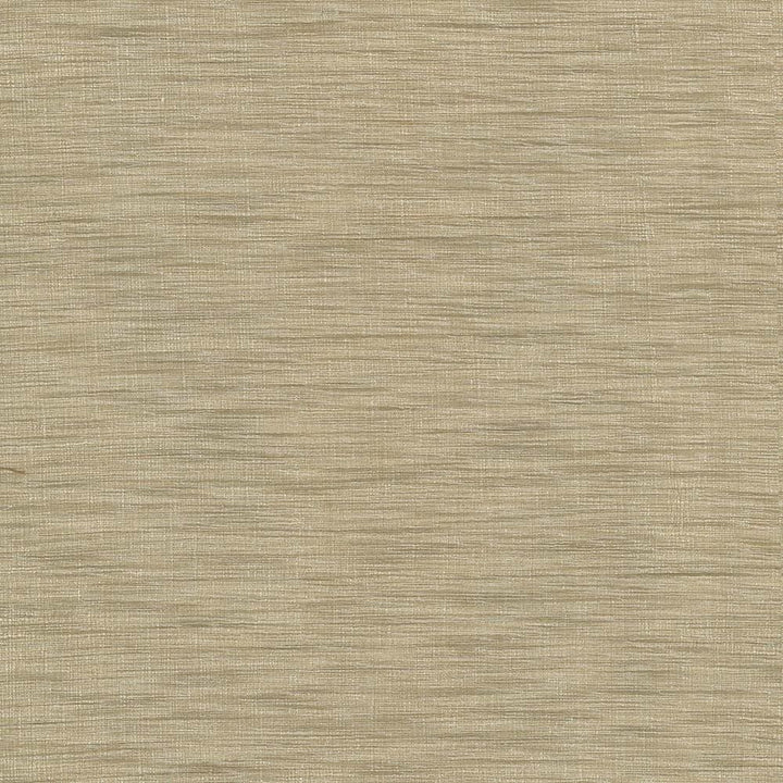 Gainsford Praline by Kasmir Fabric 1313 75% Polyester
25% Viscose
 INDIA Not Tested </p><p>Repeat: Horizontal: N/A and Vertical: N/A 54 - Fabric Carolina -