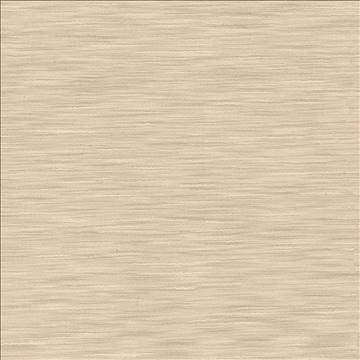 Gainsford Sandstone by Kasmir Fabric 1313 75% Polyester 25% Viscose INDIA Not Tested H: N/A, V: N/A 54 - Fabric Carolina - Kasmir